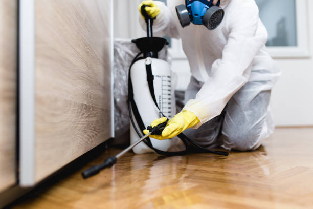 Best Pest Removal Services  in Bergenfield, NJ