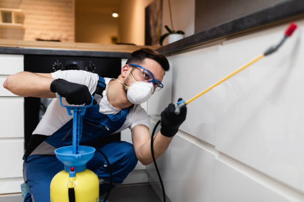 Best Pest Control Treatment  in Bergenfield, NJ