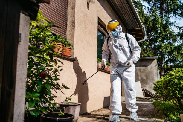 Best Termite Control Services  in Bergenfield, NJ
