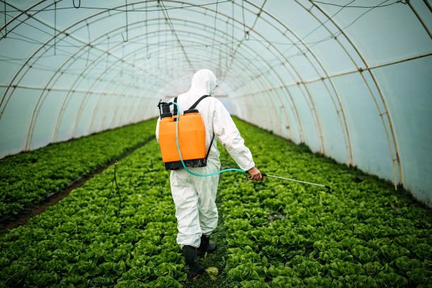 Best Pest Control Near Me  in Bergenfield, NJ
