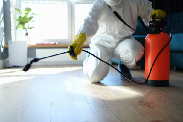 Best Wasp Removal Services  in Bergenfield, NJ