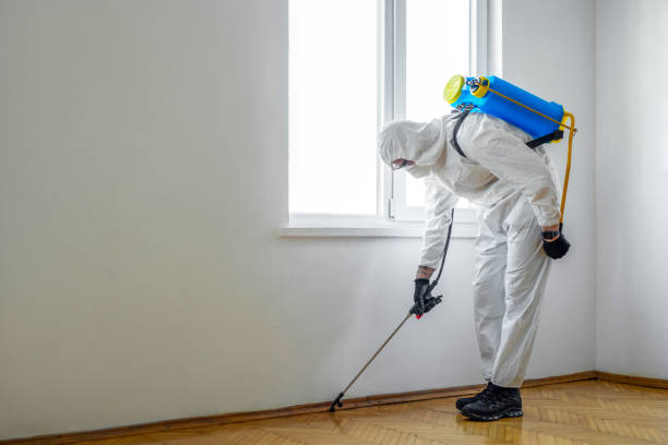 Best Rat Extermination Near Me  in Bergenfield, NJ