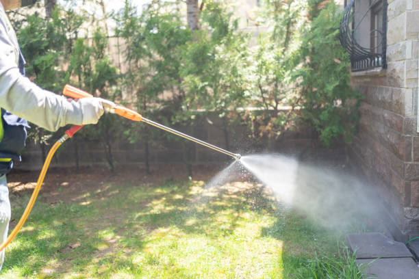 Best Pest Control Near Me  in Bergenfield, NJ