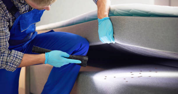 Best Cockroach Control Services  in Bergenfield, NJ