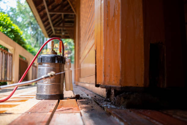 Pest Prevention Services in Bergenfield, NJ