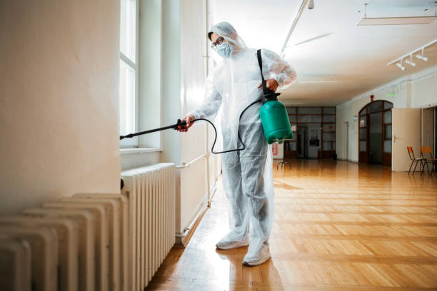 Best Pest Removal Services  in Bergenfield, NJ