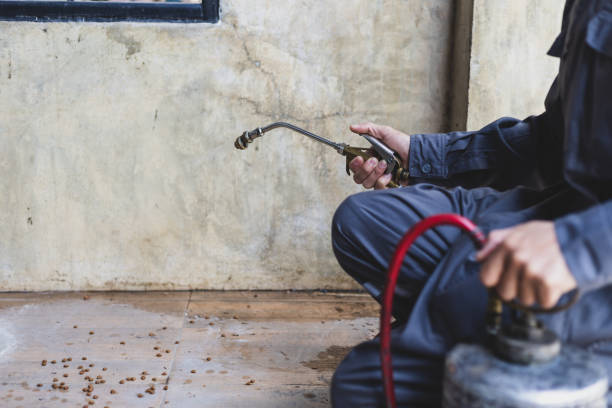 Best Pest Prevention Services  in Bergenfield, NJ